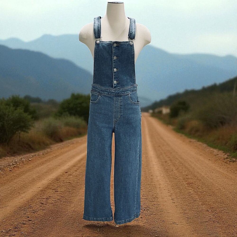 Levi's Blue Denim Women's Overalls